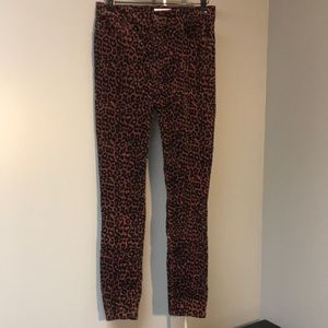 Loft Animal Print Cords